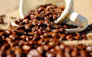 Gør morgenrutinen effektiv: Papkrus der holder din kaffe varm