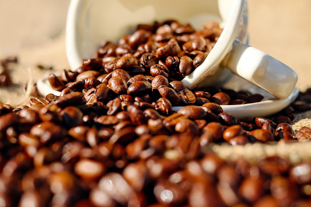 Gør morgenrutinen effektiv: Papkrus der holder din kaffe varm